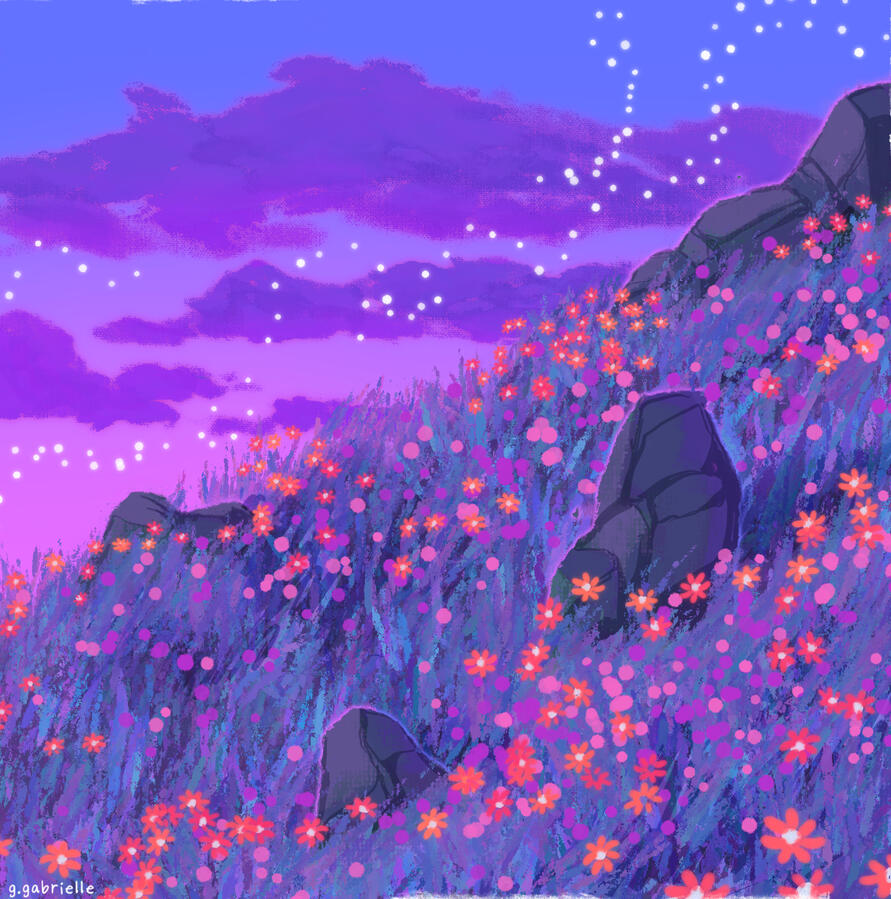 Violet Meadow Violet Meadow