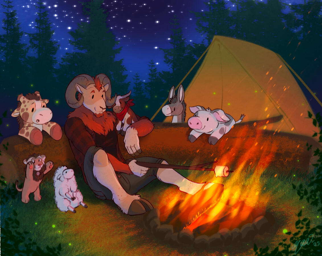Faar Camping - 2025