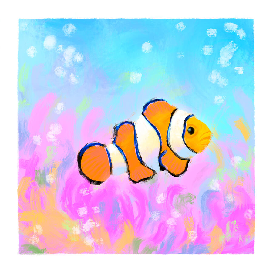 Clownfish